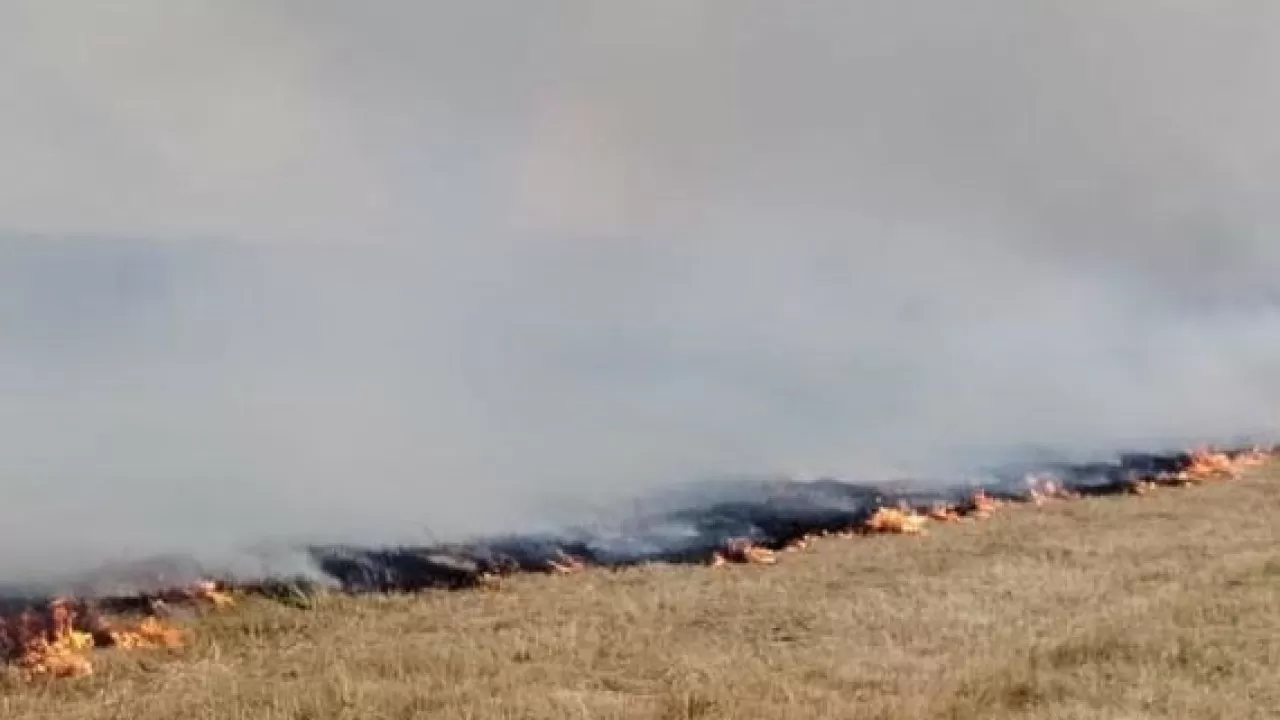 Уже несколько дней пылает крупный пожар в Алакольском заповеднике  