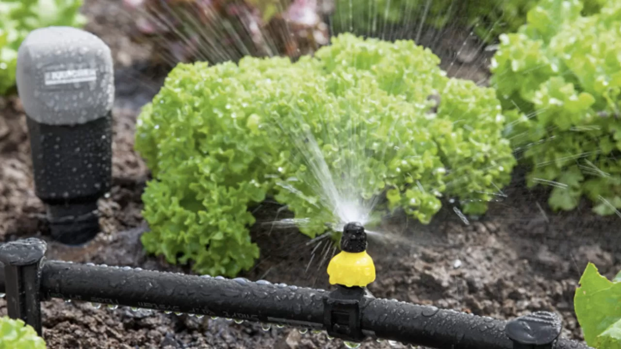 Суару суын жеткізуші монополияларға 17,8 млн теңге айыппұл салынды