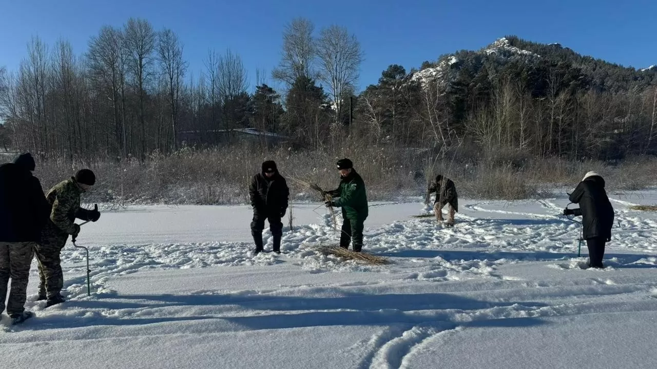 Қарқаралы ұлттық паркінің су айдындарында қысқы аэрациялық жұмыстар жүргізілуде