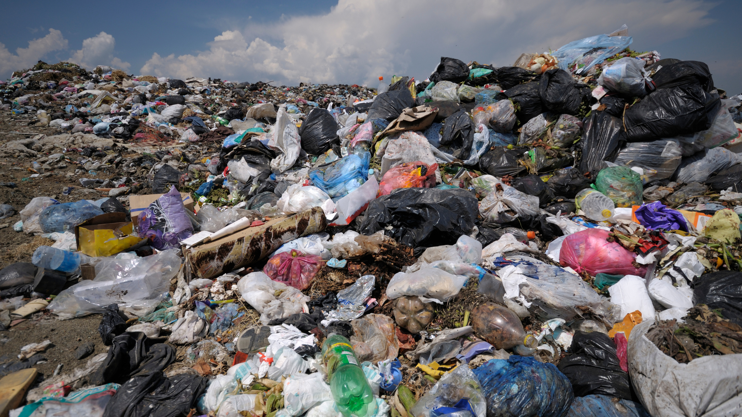 Полиция ел бойынша 4 мыңға жуық заңсыз қоқыс орнын анықтады 