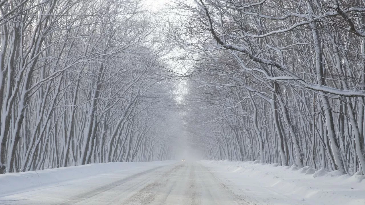 Астану заметет, а в Алматы и Шымкенте потеплеет: погода на 3 дня