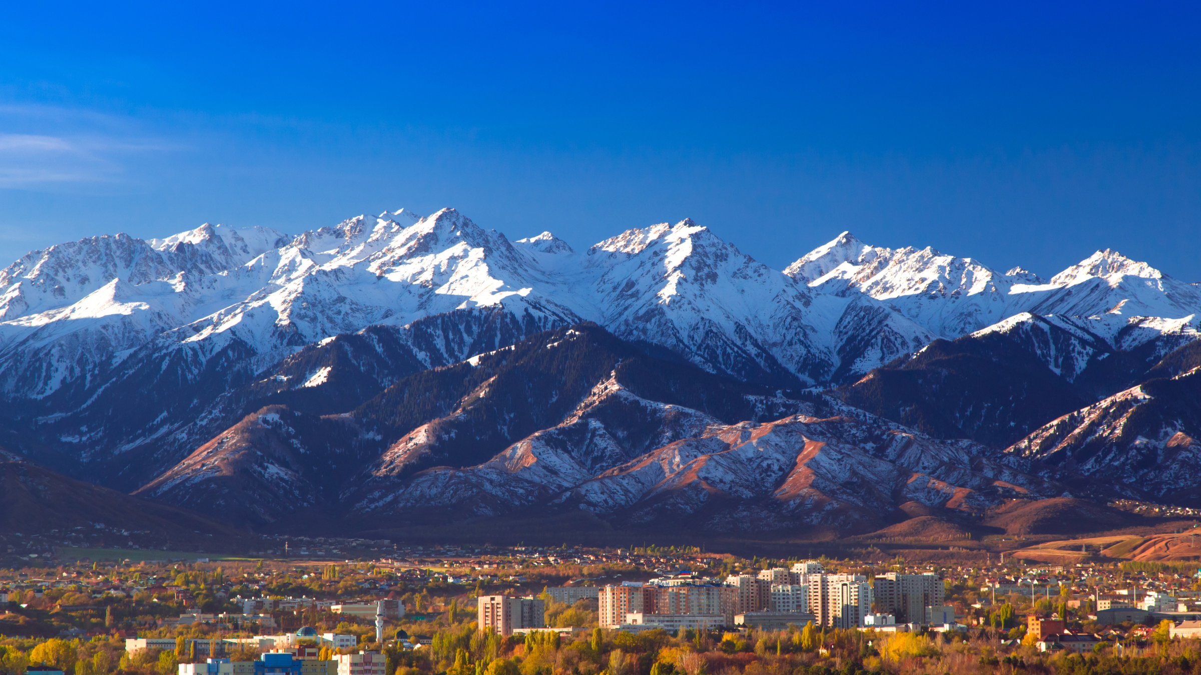 &laquo;Алматының аспаны жабылып, әскери жағдай енгізілді&raquo;: Қорғаныс министрлігі ақпаратты жоққа шығарды