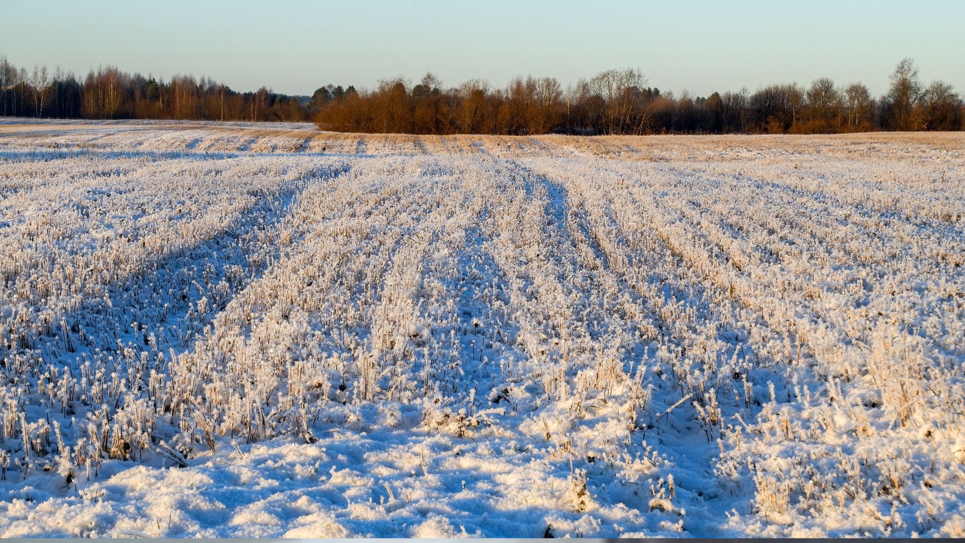 Биыл халыққа 50 сотықтан жер үлестіріледі