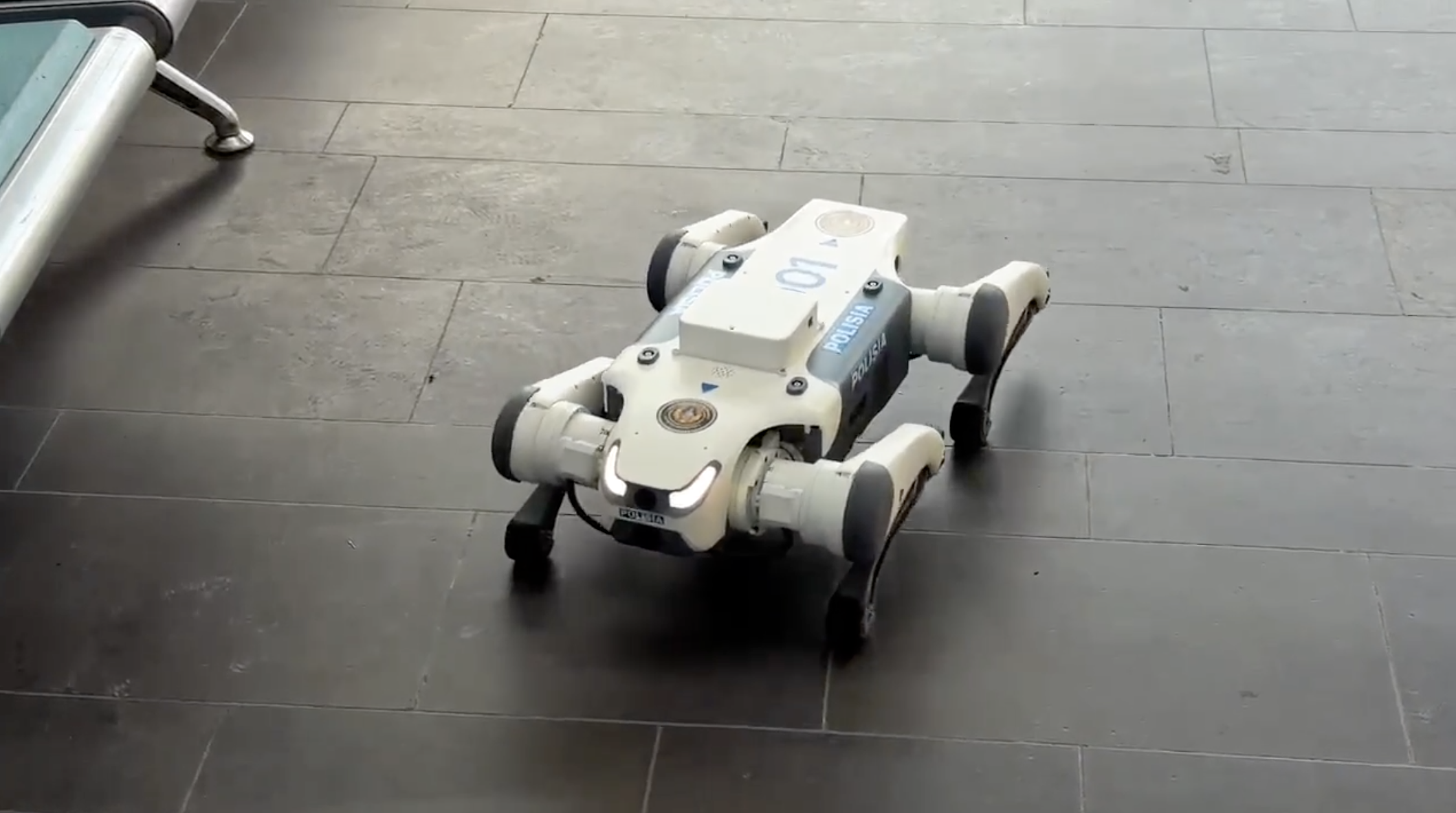 Астанада қоғамдық тәртіпті енді робот иттер бақылайды