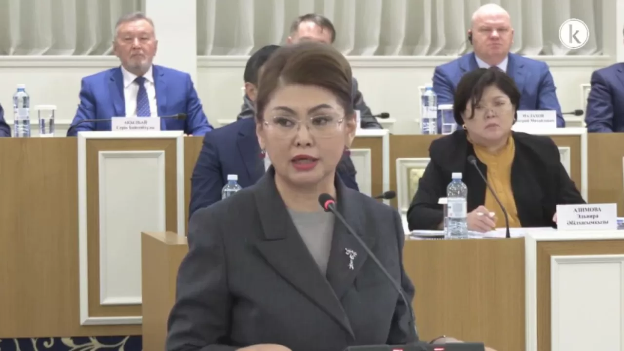 Аида Балаева о Конституции: Изменения &ndash; это не очередная техническая настройка