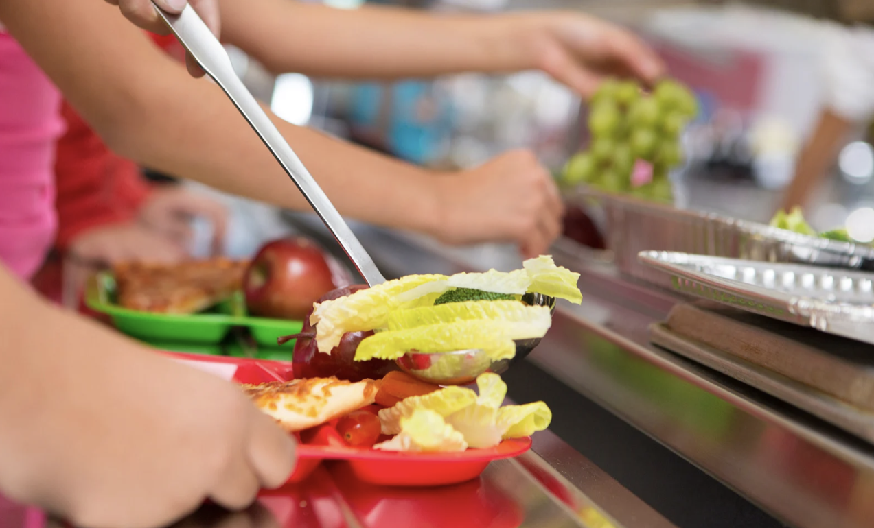 Қырғызстанда мектеп асханасындағы тағам сапасына қатысты тексеріс жүргізілді