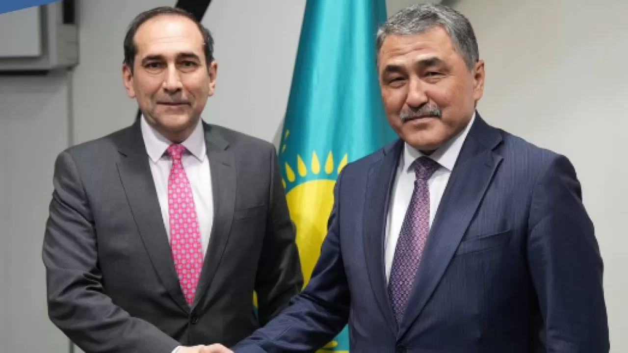 Как в РК спасают Северный Арал: готовится новый проект 