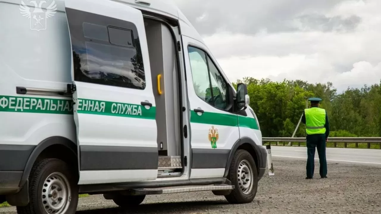 Некоторые особенности пересечения границы ЕАЭС объяснили российские таможенники 