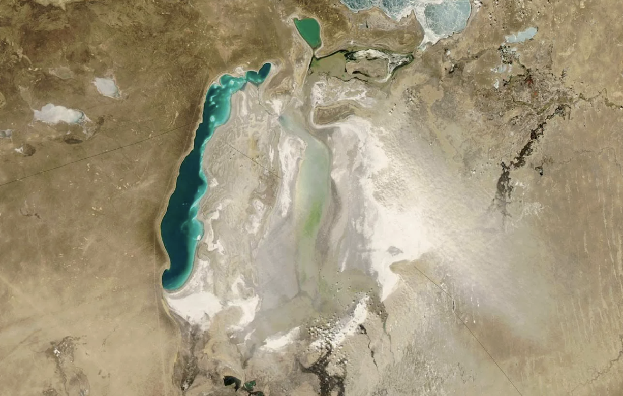 Кіші Аралға балық қайта оралып жатыр &ndash; Марат Әлиев