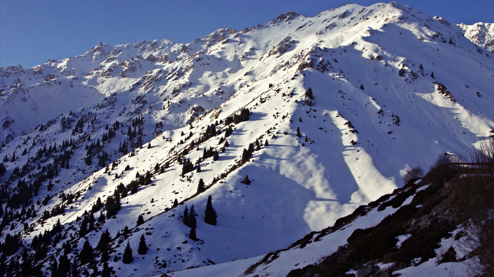 Құтқарушылар Алматы тауларында аяғын сындырып алған 59 жастағы альпинисті эвакуациялады