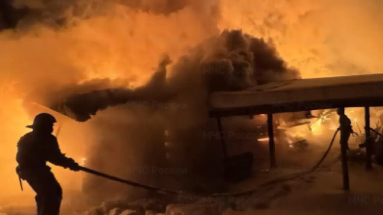 Пожар на конюшне унес жизни 15 лошадей в России 