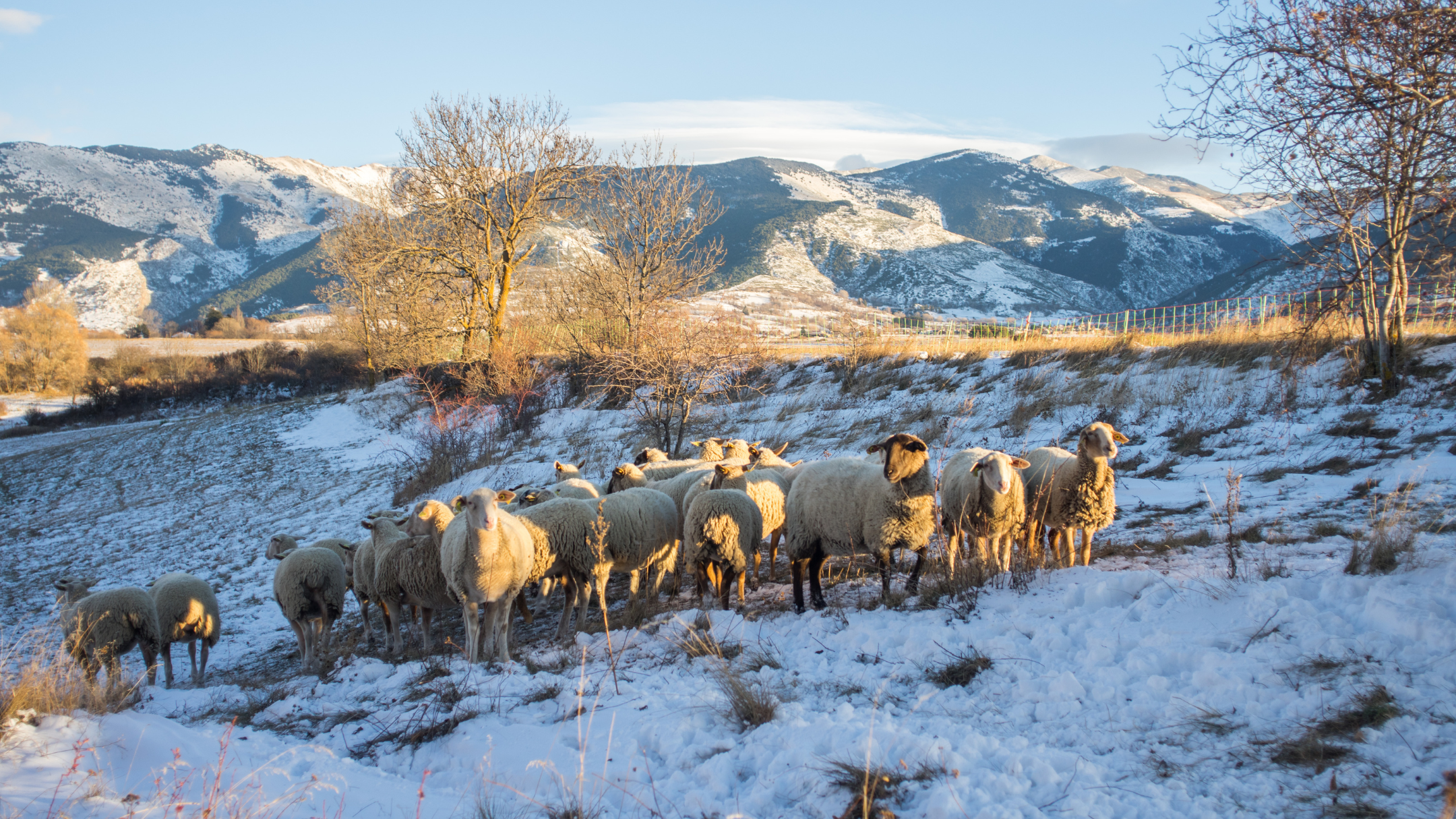 Қайтарылған 8,5 млн гектар ауыл шаруашылығы жері халық игілігіне берілді