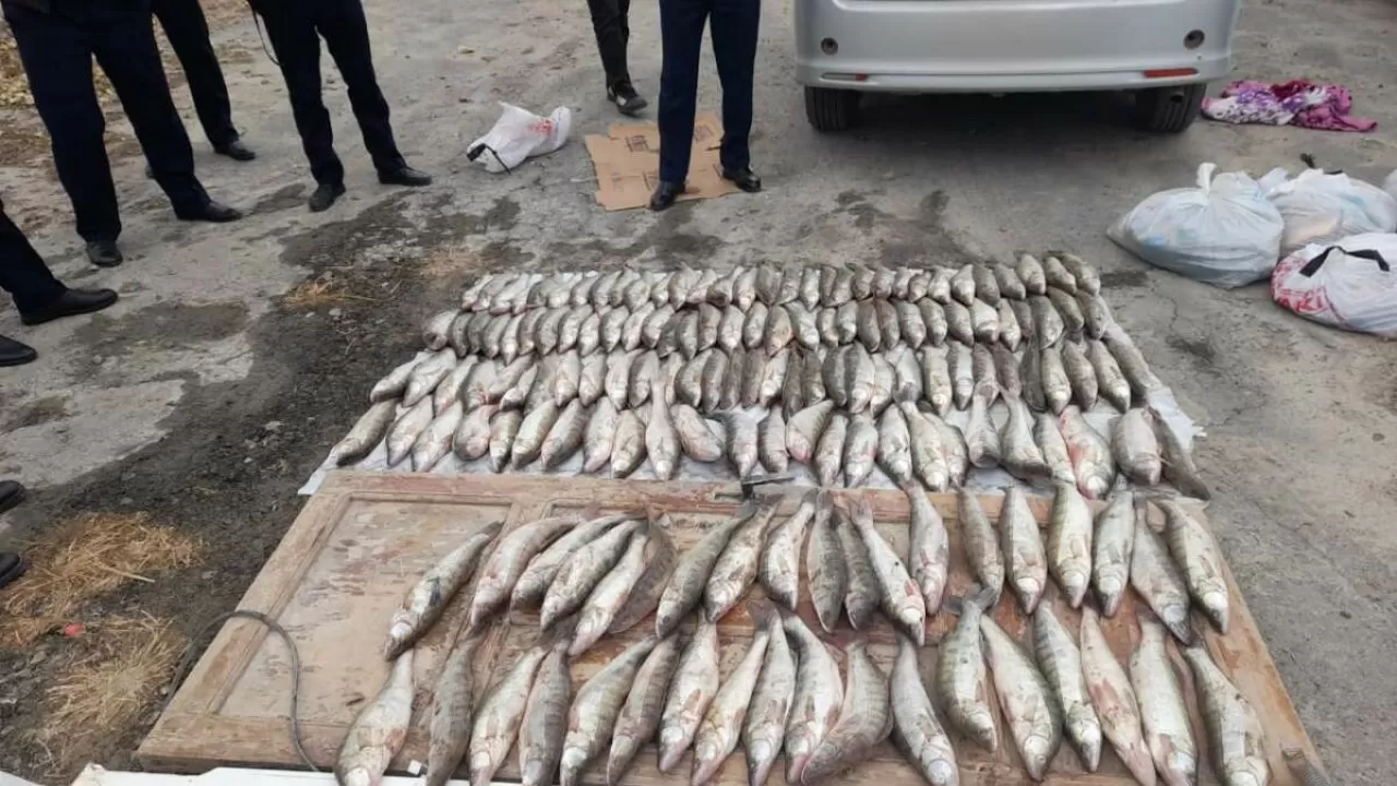 Атырау облысында браконьерлерге 30 млн теңгеден астам айыппұл салынды