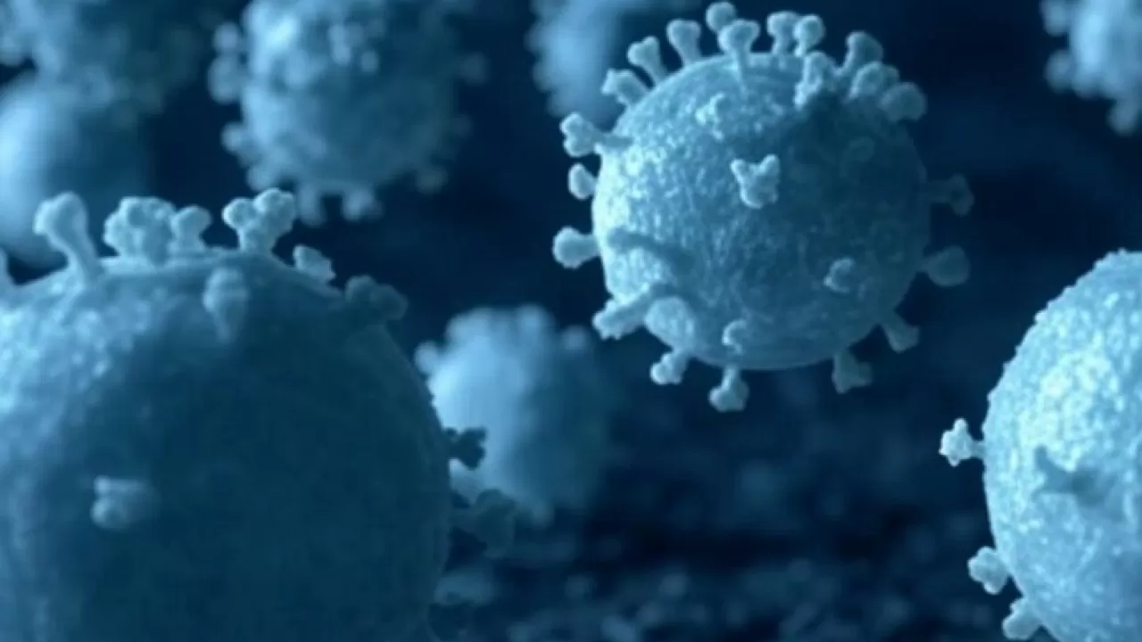 Чем гигантский вирус ушикувирус удивил биологов по всему миру 