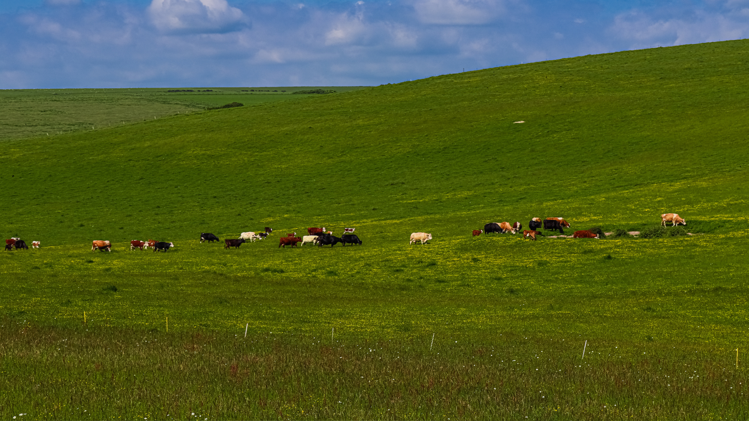 Елімізде ауыл шаруашылығы жерін алу рәсімдері жеңілдетілді