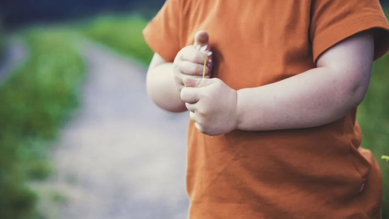 Утверждена первая масштабная программа "Дети Казахстана" 