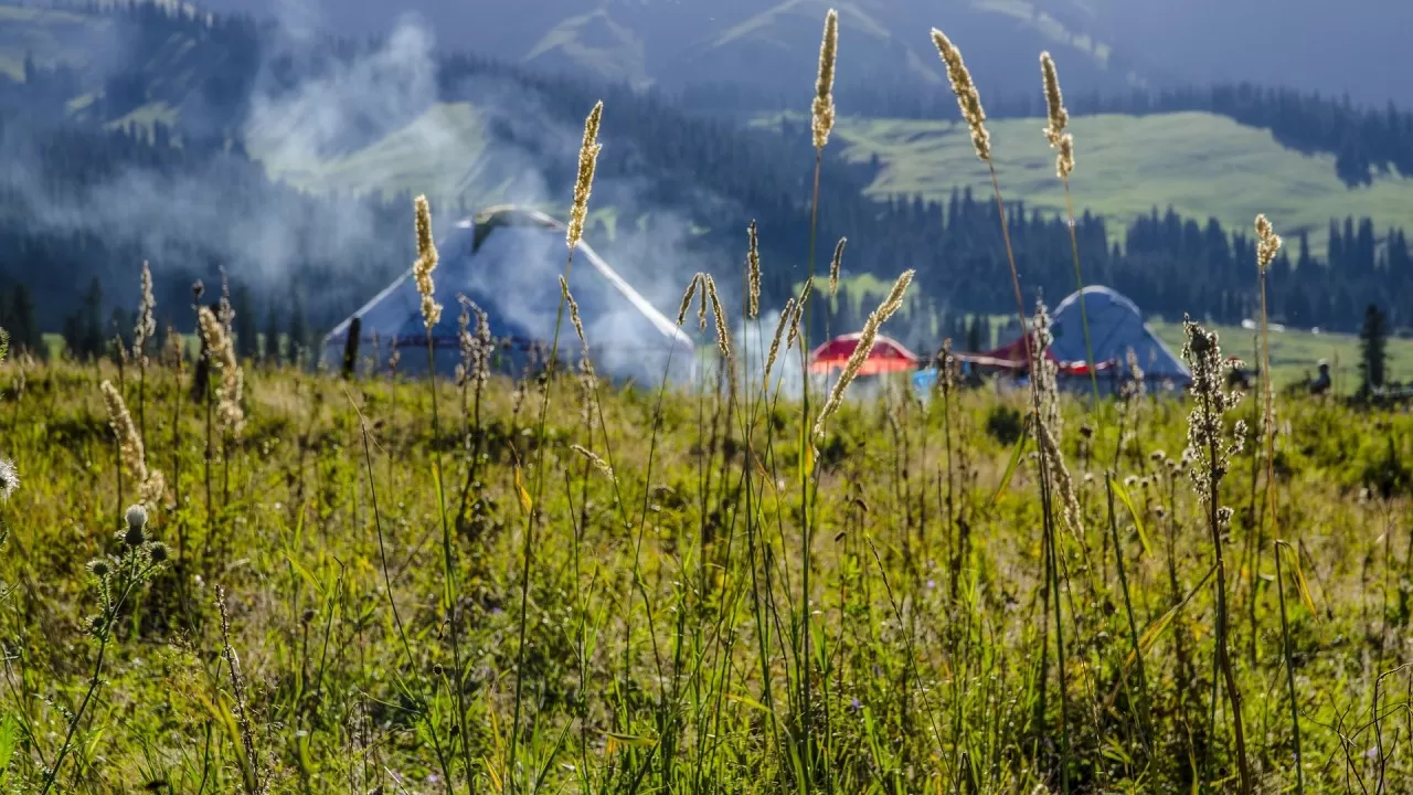 У недобросовестных владельцев забрали земли в Акмолинской области  