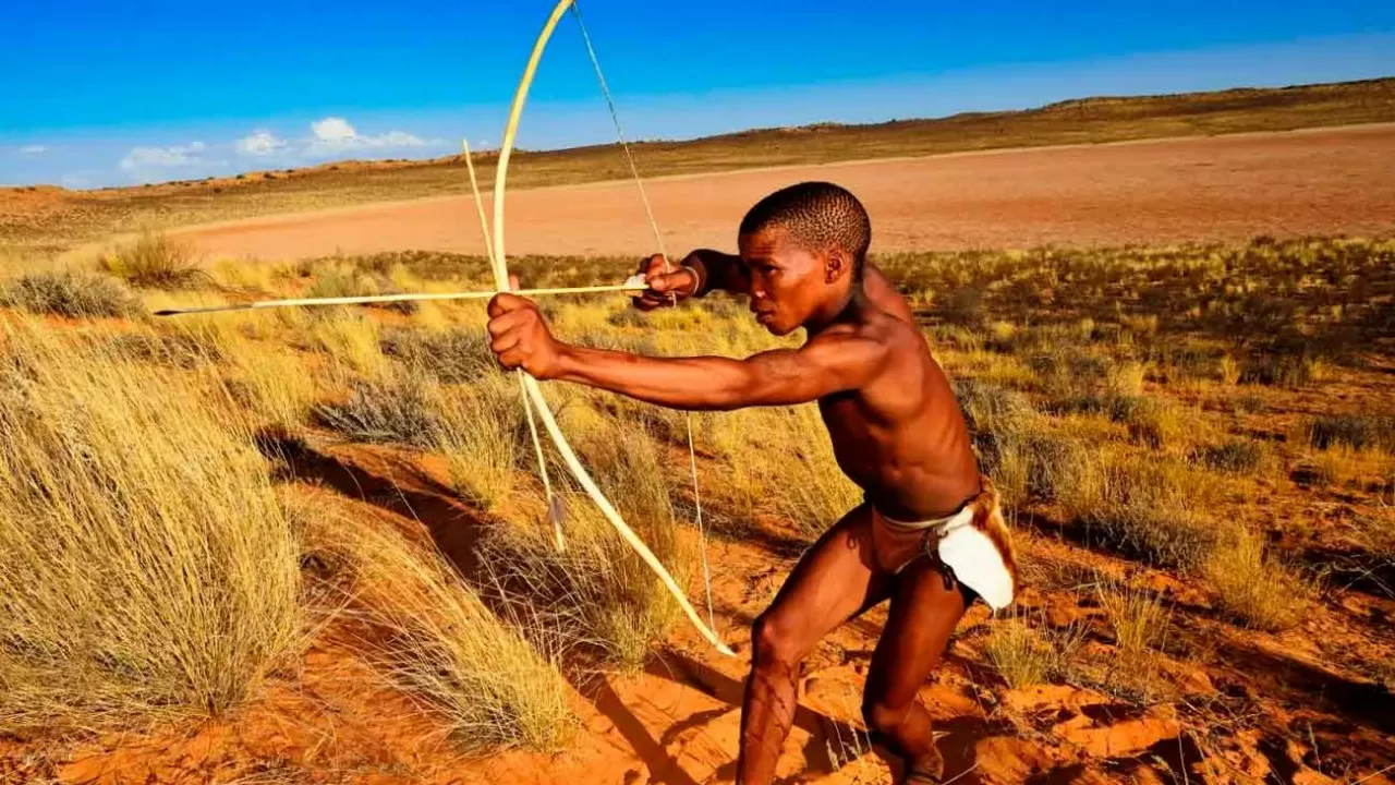 Ядовитые стрелы уже использовали 60 тысяч лет назад 