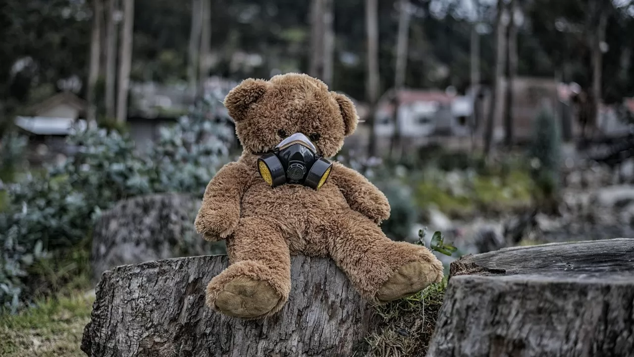 МВД раскрыло незаконную вырубку саксаула в заповеднике 