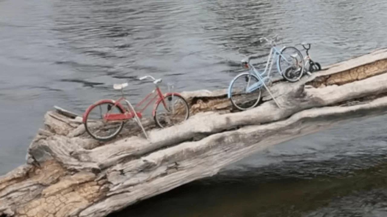 Велосипеды на бревне превратились в необычный символ города