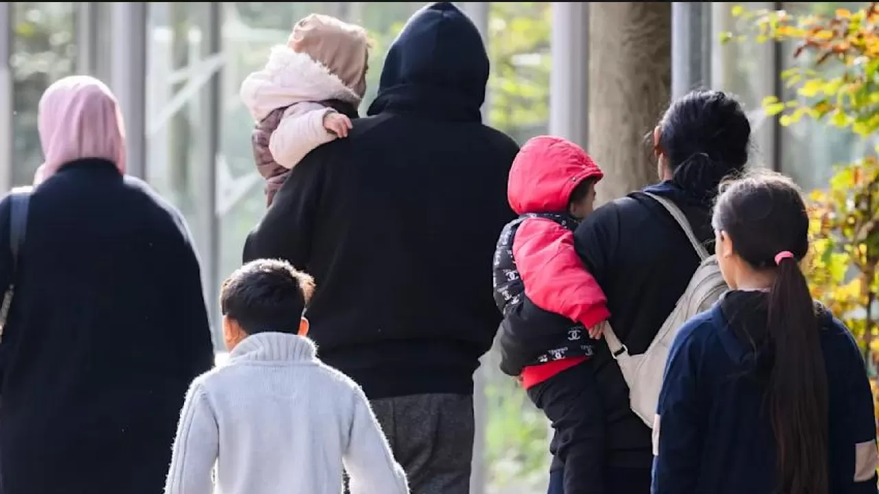 В Германии на тысячи младенцев подали запрос на убежище в 2025 году  