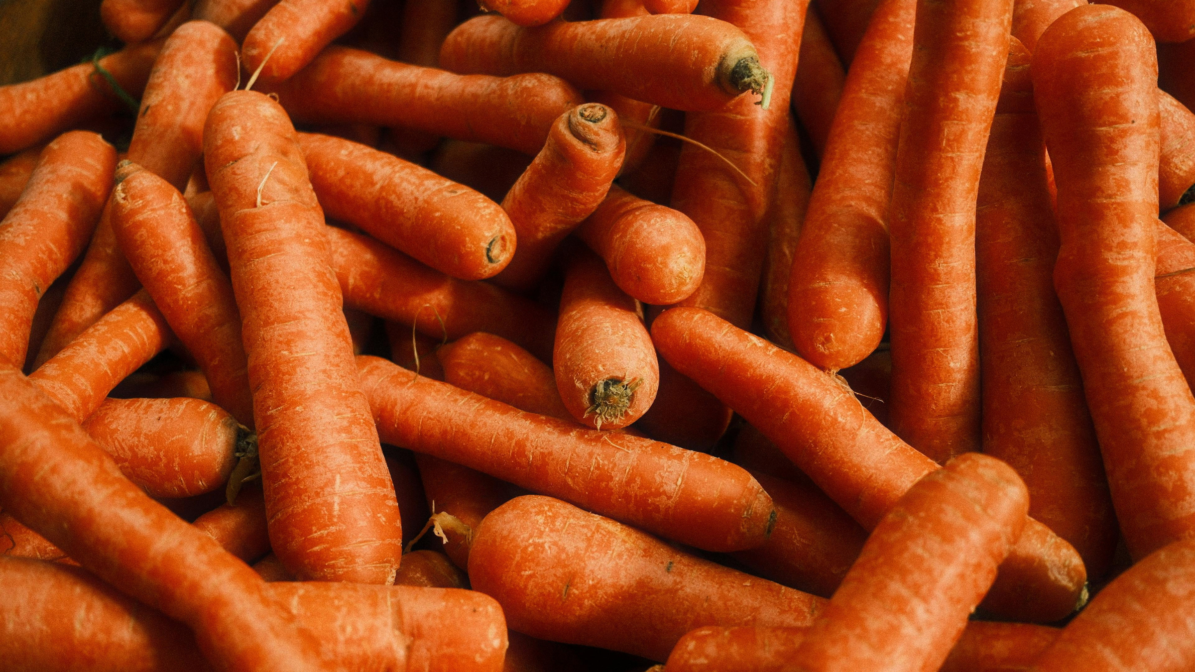 Сәбіз экспортына шектеу қойылуы мүмкін