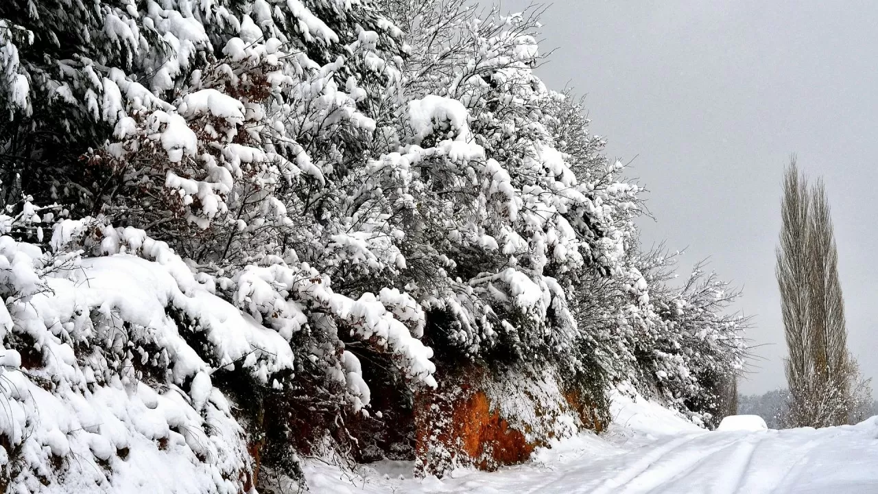 Мороз берет свое: зима усиливает хватку в регионах Казахстана