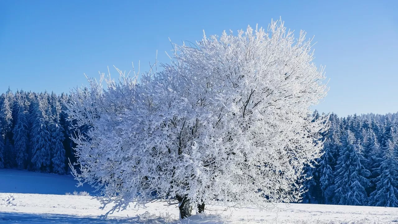 Казахстан накрывают резкое похолодание и метели 