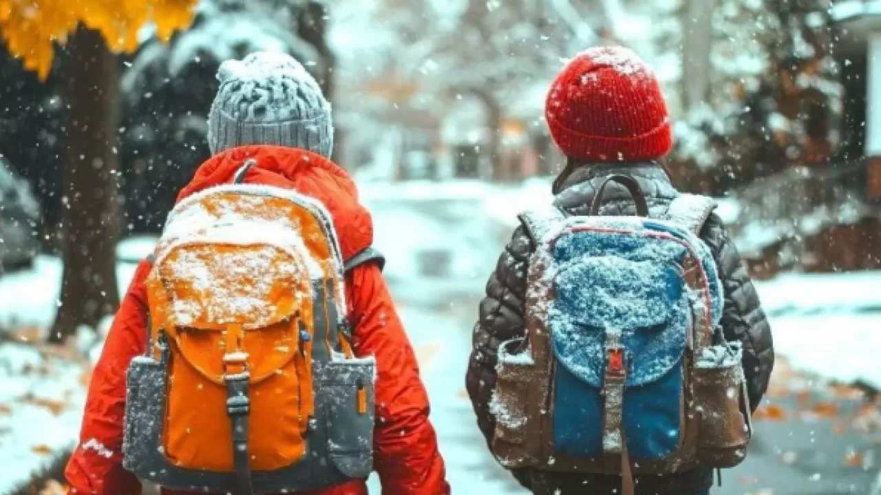 В Астане ученики начальных классов уходят на дистанционку 