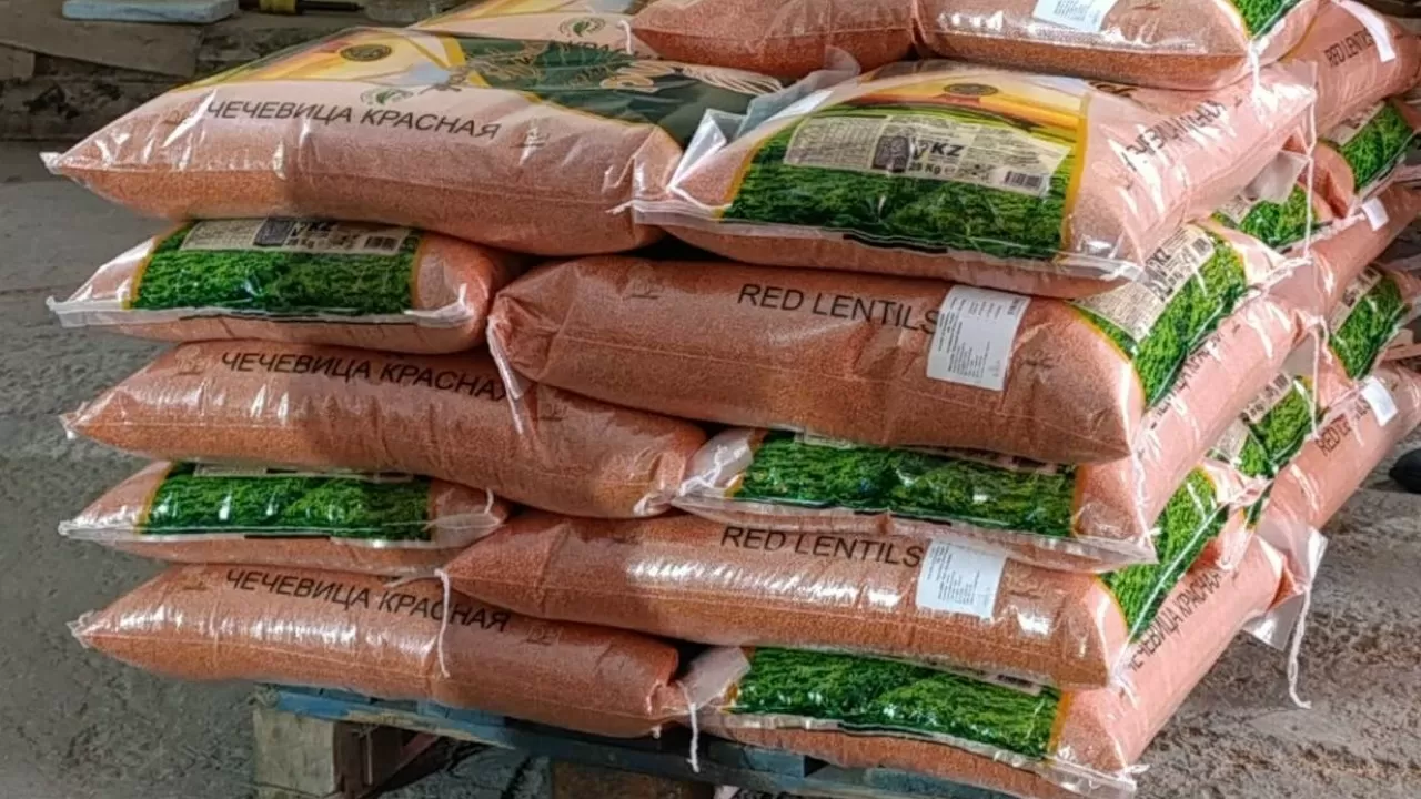 Экспорт этих культур из РК станет рекордом 