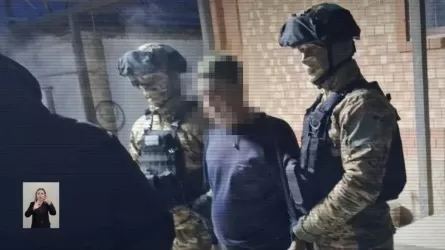 Қызылорда облысында сексеуілді заңсыз кесіп, сатумен айналысқан күдіктілер ұсталды