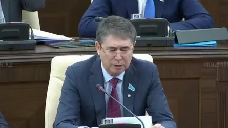 Депутат пояснил, как заработал полмиллиарда тенге 