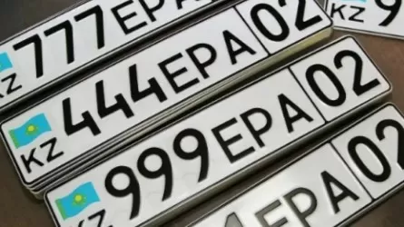 Важную функцию по онлайн-заказу автономеров разъяснили казахстанцам 