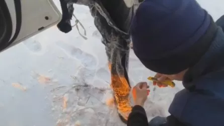 В шаге от гибели: в Экибастузе чудом спасли провалившихся в полынью рыбаков