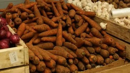 &laquo;Келісін 80 теңгеден сатудың өзі қиын&raquo;: Депутат сәбіз экспортына шектеу қою туралы ұсынысты сынға алды