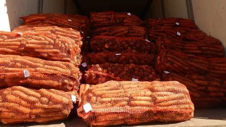 Новое решение правительства может привести к банкротствам в АПК