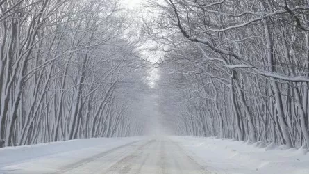 Астану заметет, а в Алматы и Шымкенте потеплеет: погода на 3 дня