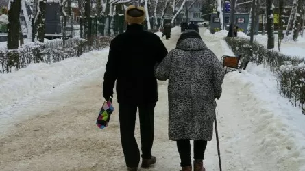 Петропавлда зейнеткер үсік шалып көз жұмды