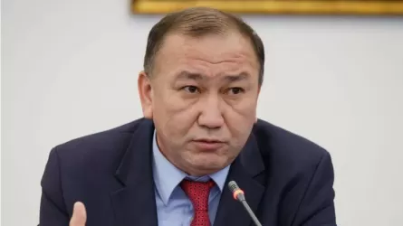 Депутат предложил закрепить защиту персональных данных в Конституции РК 