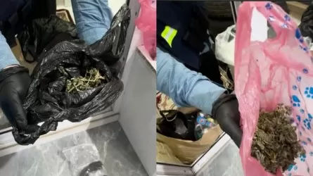 Жительница Астаны в кухонных шкафах и на балконе хранила наркотики 