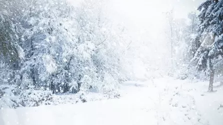 Снег с метелью прогнозируют синоптики в Казахстане