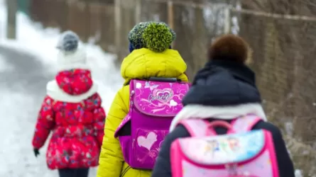 Жгучие морозы не отступают: на востоке Казахстана школьники остаются на дистанционке 