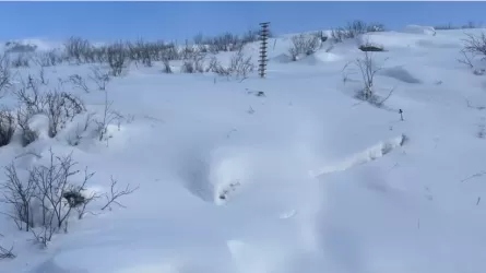 Снежные &laquo;козырьки&raquo; отсутствуют: лавины пока маловероятны в ВКО 