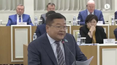 Айдос Сарым: Народный совет может стать трамплином для целой плеяды политиков 