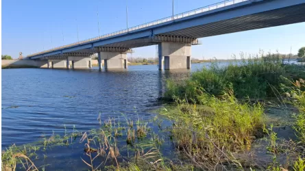 Тобол очистили "по документам": подрядчик сорвал проект в Костанае 