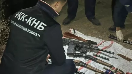 В Казахстане ужесточают правила для владельцев оружия 