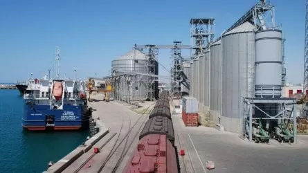 Казахстанский ячмень активно экспортируют в Иран 