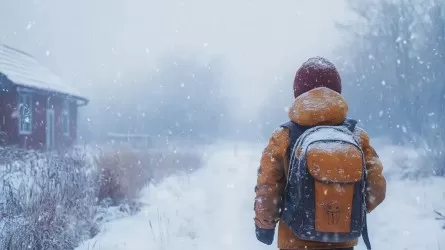 Вторая смена в школах Астаны будет учиться онлайн 