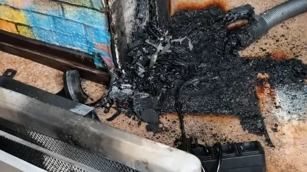 Ақтауда бүтін бір отбасы мысықтың көмегімен өрттен аман қалды