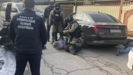 Алматыда жаңа жыл түні пәтер тонағандар ұсталды